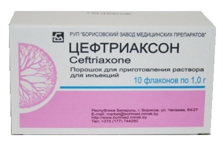 Лекарственные препараты для лечения панкреатита и холецистита thumbnail